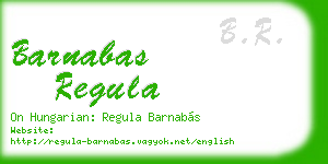 barnabas regula business card